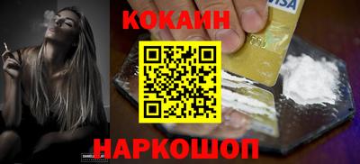 шишки Дубна