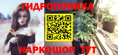 шишки Дубна