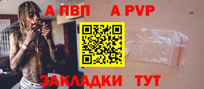шишки Дубна