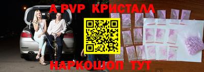шишки Дубна