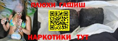 шишки Дубна